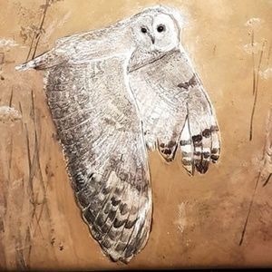 Meet your Posher, Ronnie